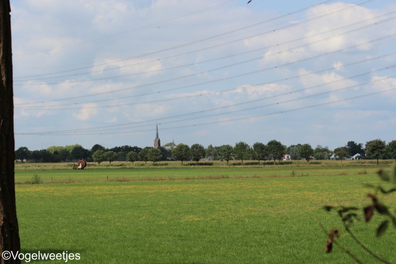 foto: de Moer/Noord-Brabant.