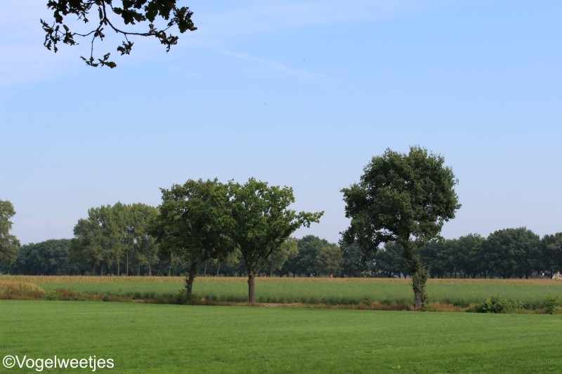 foto: Gerwen/Noord-Brabant.