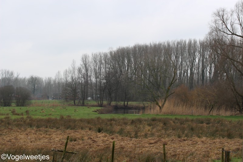 foto: Liemde/Noord-Brabant.