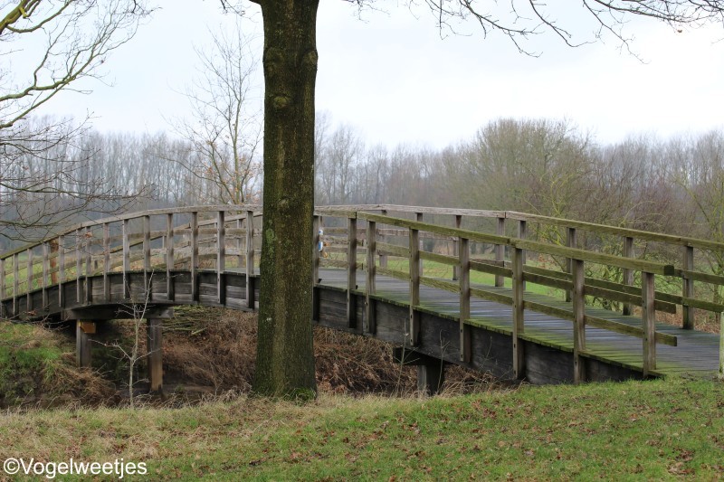 foto: Liemde/Noord-Brabant.