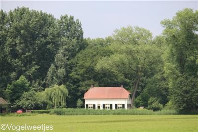 foto: Oirschot-Noord-Brabant.