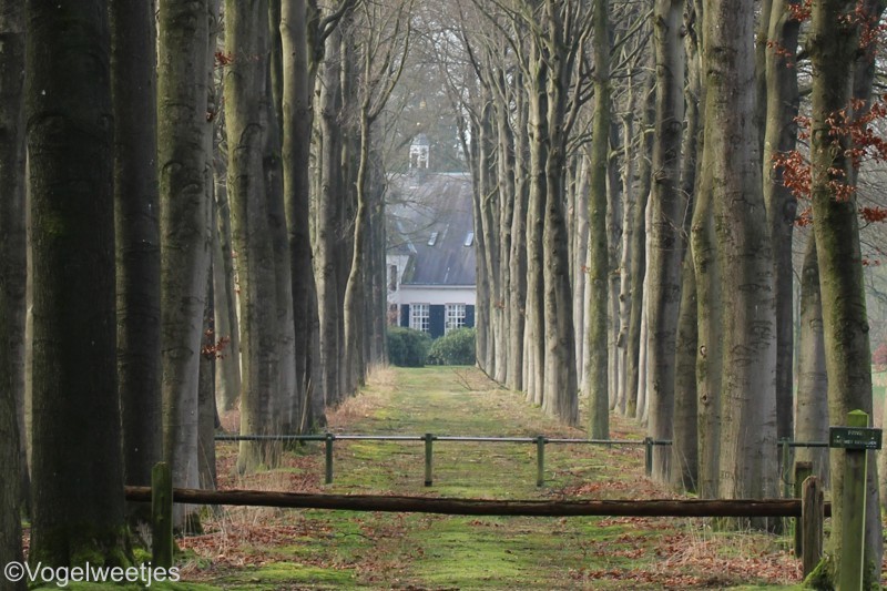 foto: Oostelbeers/Noord-Brabant.